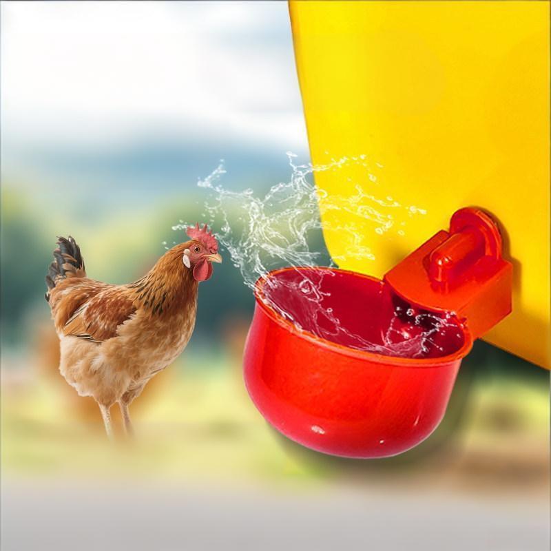 Fertilizer Dispenser - * 10/20 قطعة من أكواب شرب