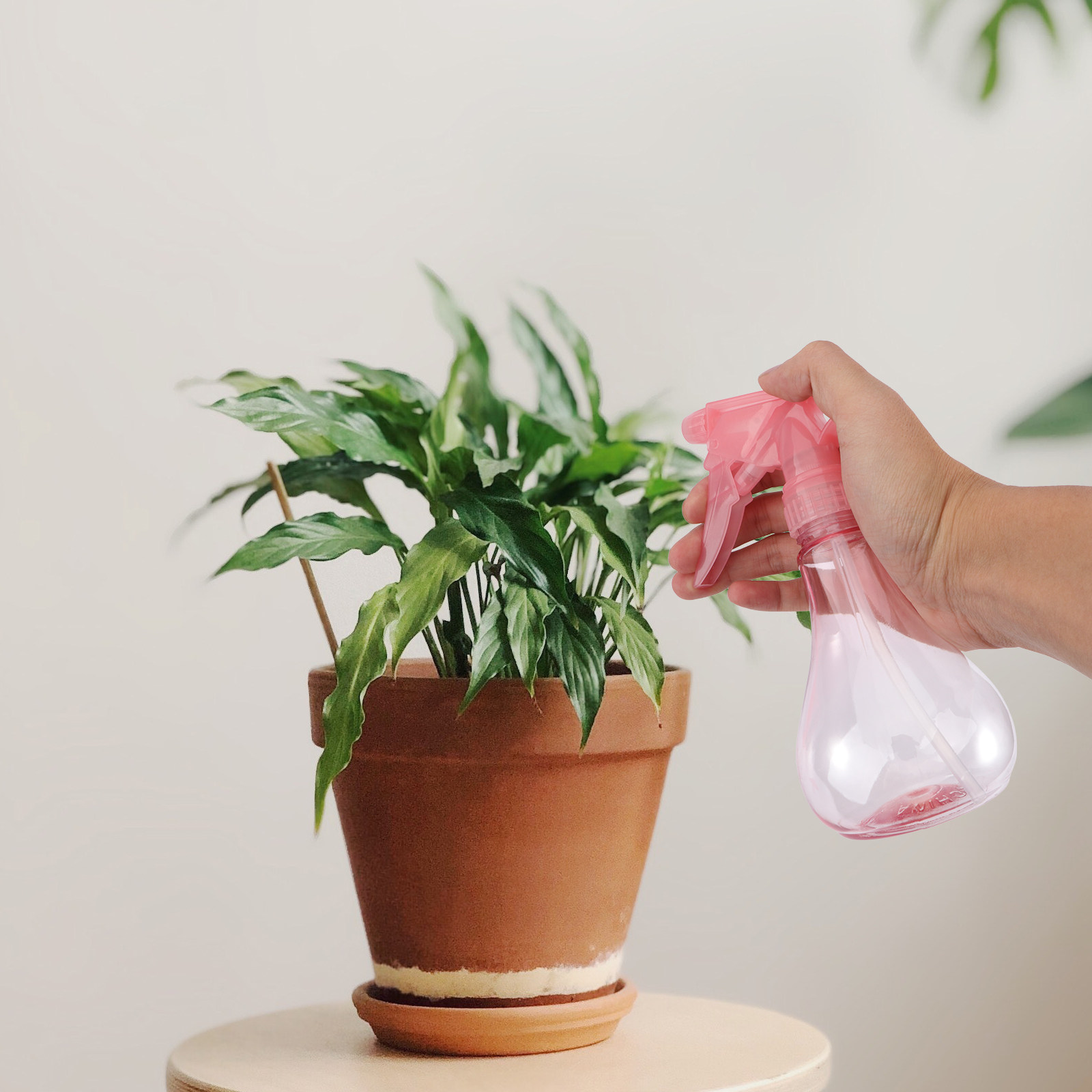 مجموعة أدوات زراعة النباتات ال - مراجعة Gardening Tools Kit وسعره