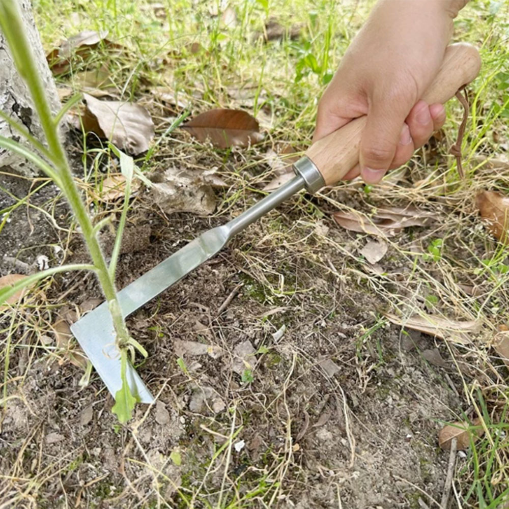 أداة إزالة الأعشاب الضارة من ا - مراجعة Gardening Hand Tools Yard وسعره