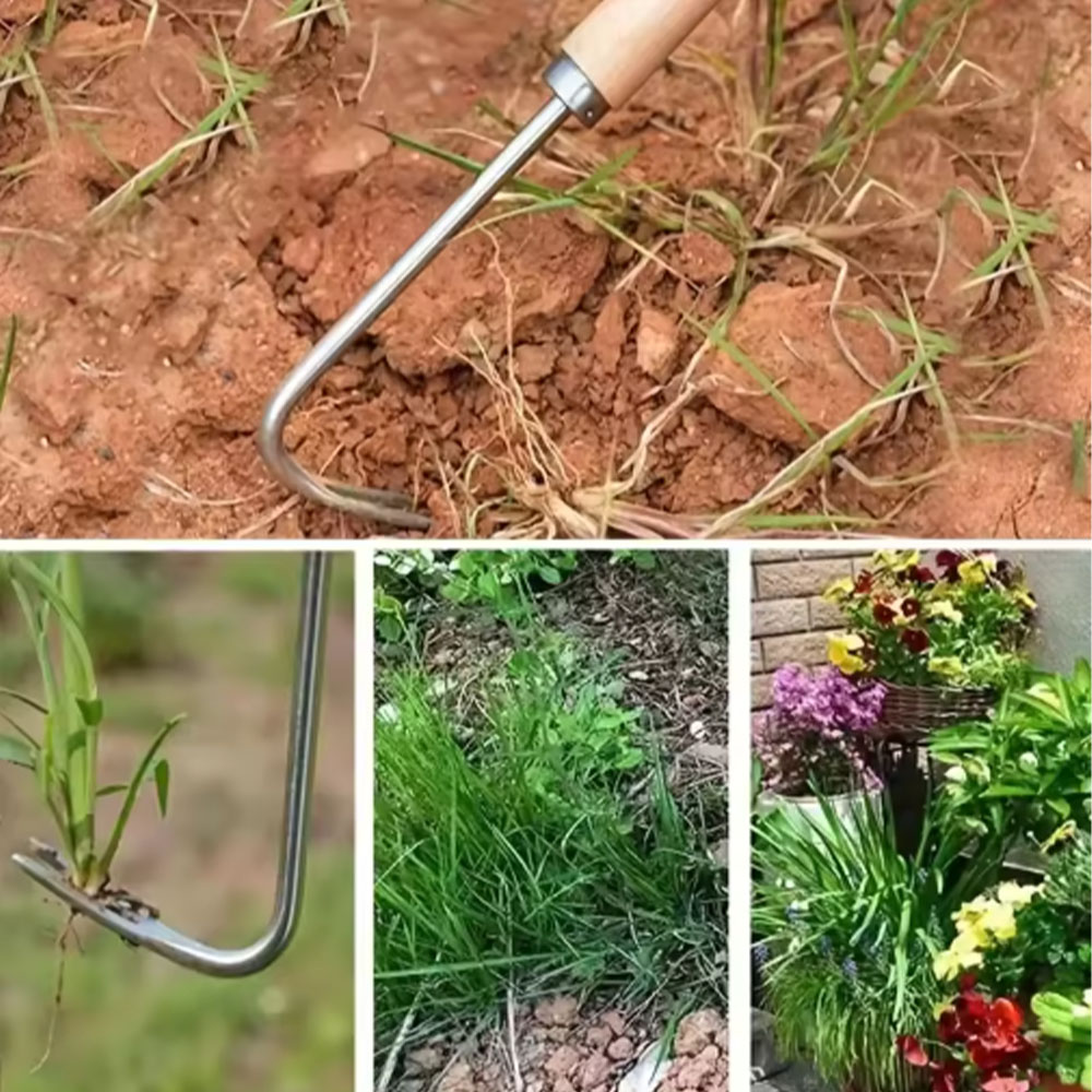 أداة إزالة الأعشاب الضارة من ا - مراجعة Gardening Hand Tools Yard وسعره