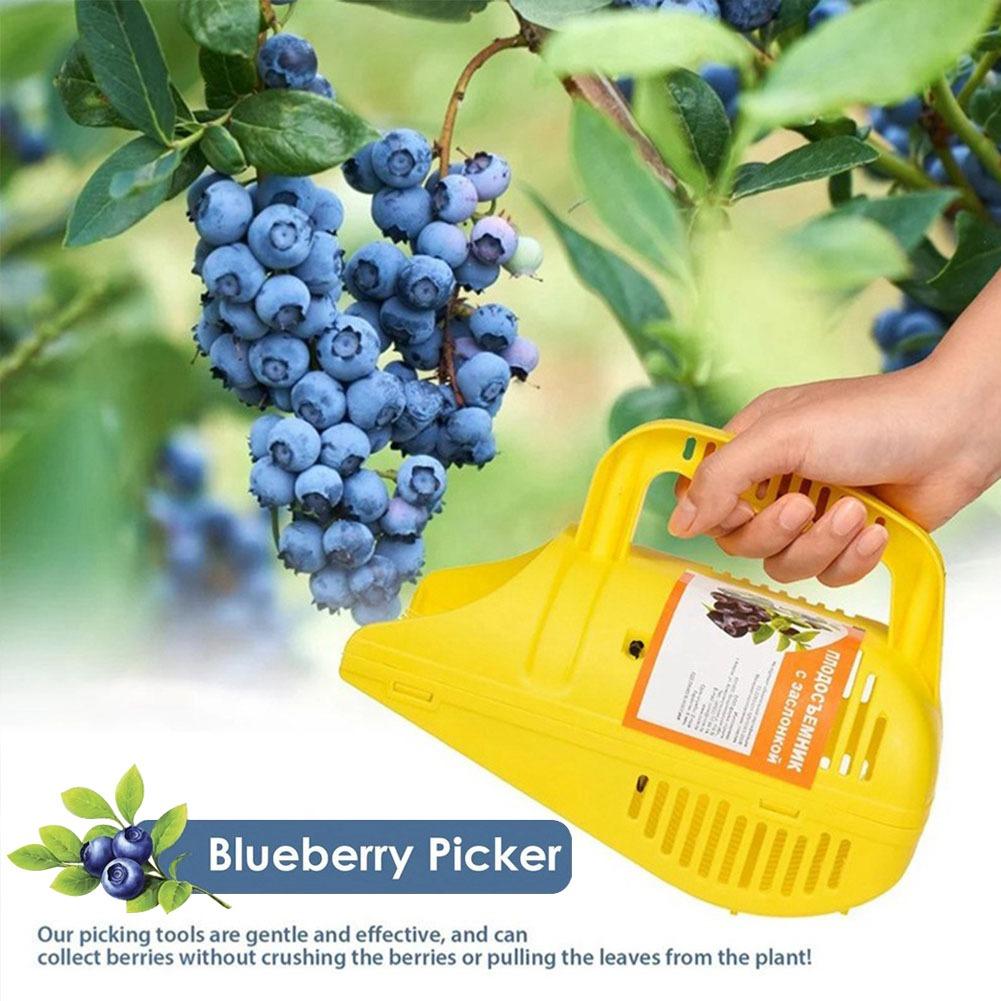أداة قطف التوت الأزرق سهلة الا - مراجعة Gardening Tools Must Haves وسعره