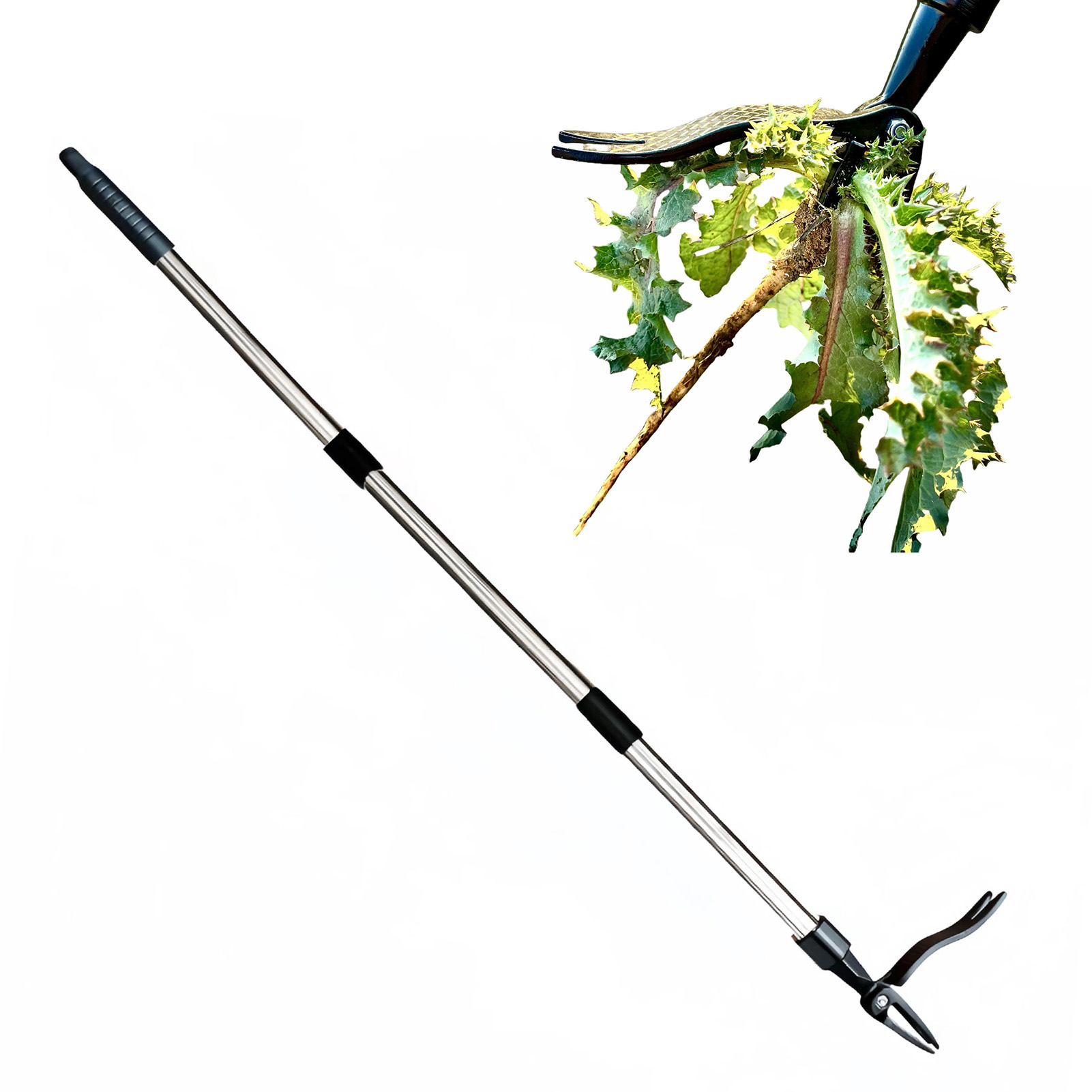 4 مخلب الوقوف الاعشاب مجتذب ال - مراجعة Gardening Hand Tools Yard وسعره
