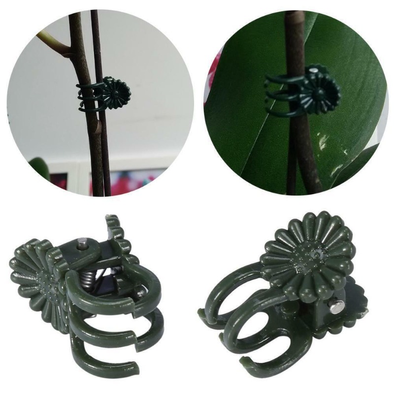 50 قطعة مشابك نباتات خضراء داك - مراجعة Gardening Tools Bundle وسعره