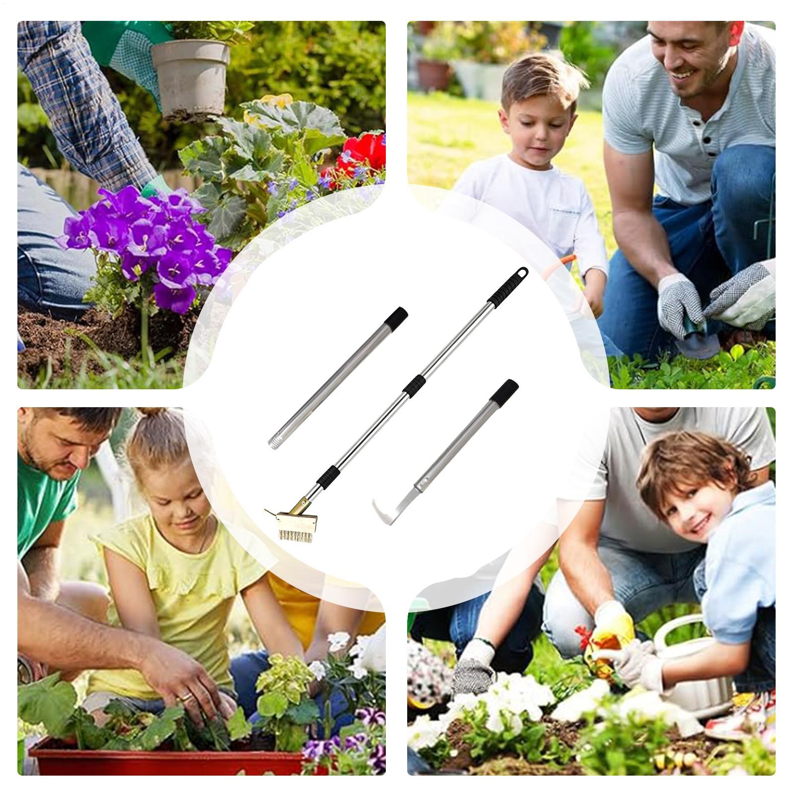 أداة إزالة الأعشاب الضارة من ا - مراجعة Gardening Hand Tools Yard وسعره