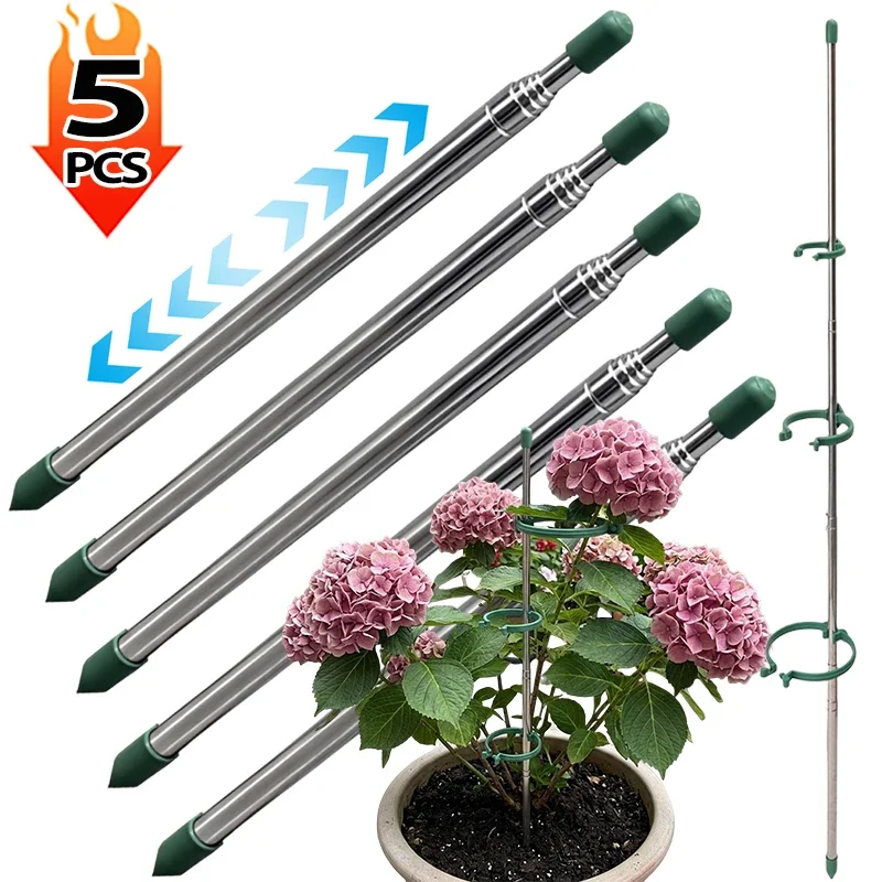 5/1 قطعة حلقة دعم نباتات قابلة - مراجعة Gardening Tools Green وسعره