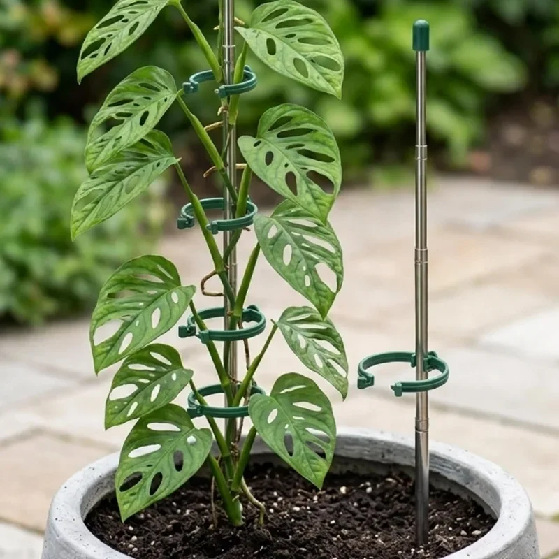 5/1 قطعة حلقة دعم نباتات قابلة - مراجعة Gardening Tools Green وسعره