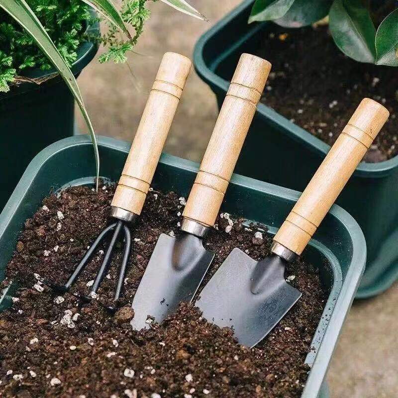 3 قطعة/1 مجموعة أدوات البستنة  - مراجعة Gardening Tools Bundle وسعره