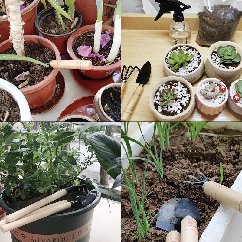 3 قطعة/1 مجموعة أدوات البستنة  - مراجعة Gardening Tools Bundle وسعره