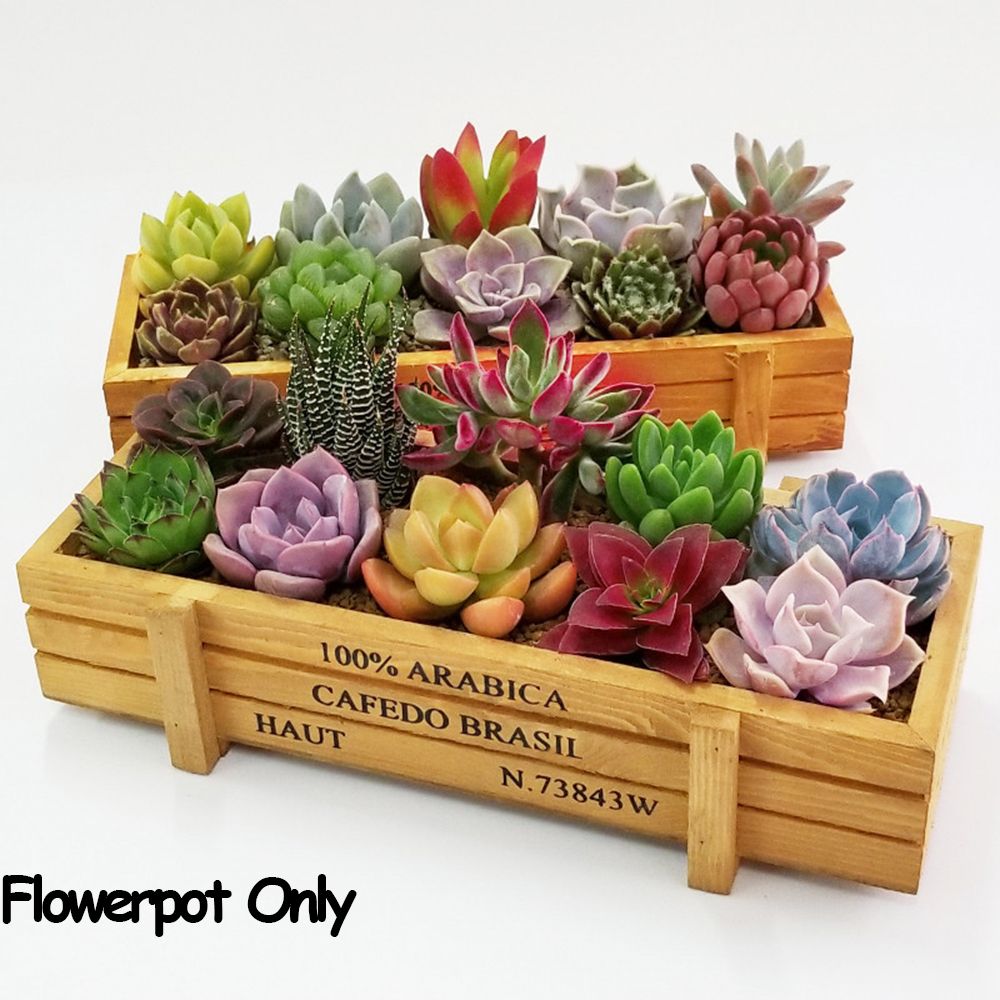 صناديق عصارية مستطيلية مزخرفة  - مراجعة Gardening Tools Green وسعره