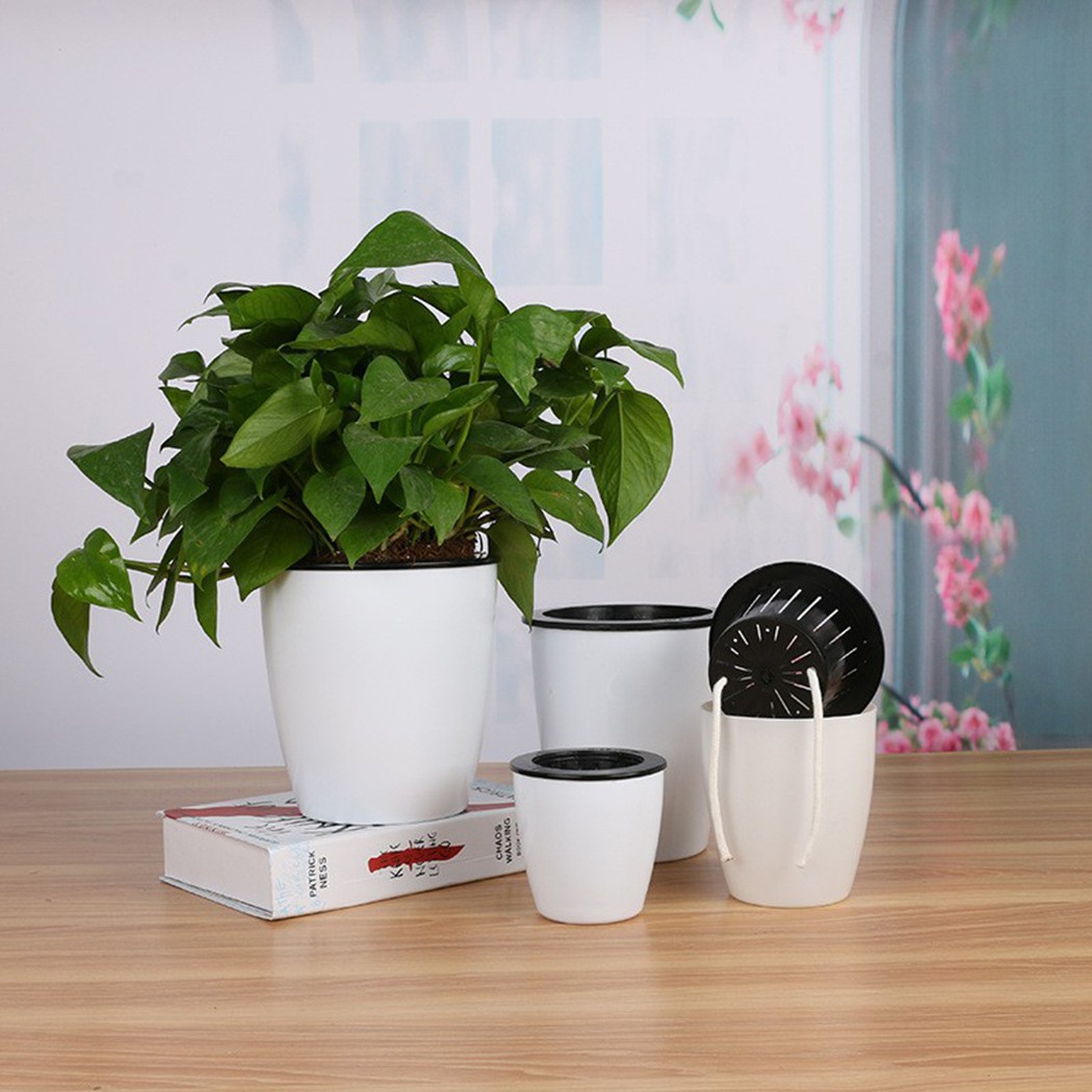 التلقائي سقي النباتات وعاء ، ك - مراجعة Gardening Tools Green وسعره