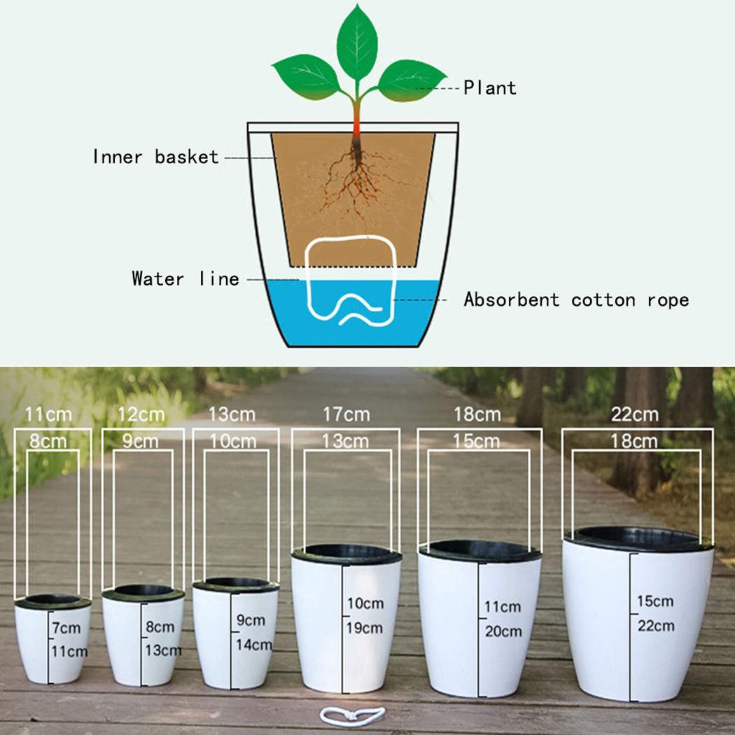 التلقائي سقي النباتات وعاء ، ك - مراجعة Gardening Tools Green وسعره