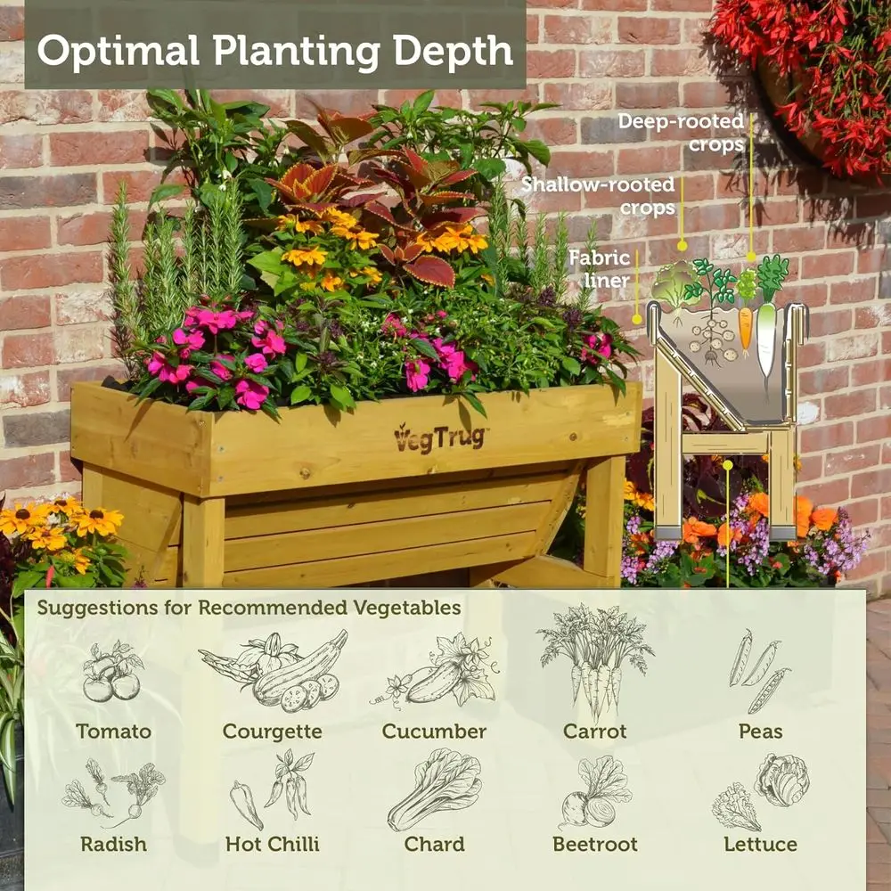 حوض زراعة طبيعي صغير يثبت على  - مراجعة Vertical Wall Planter وسعره