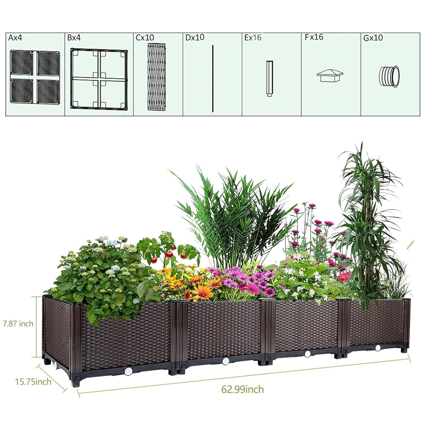حوض زراعة مرتفع ذاتي الري - صن - مراجعة Gardening Tools Green وسعره
