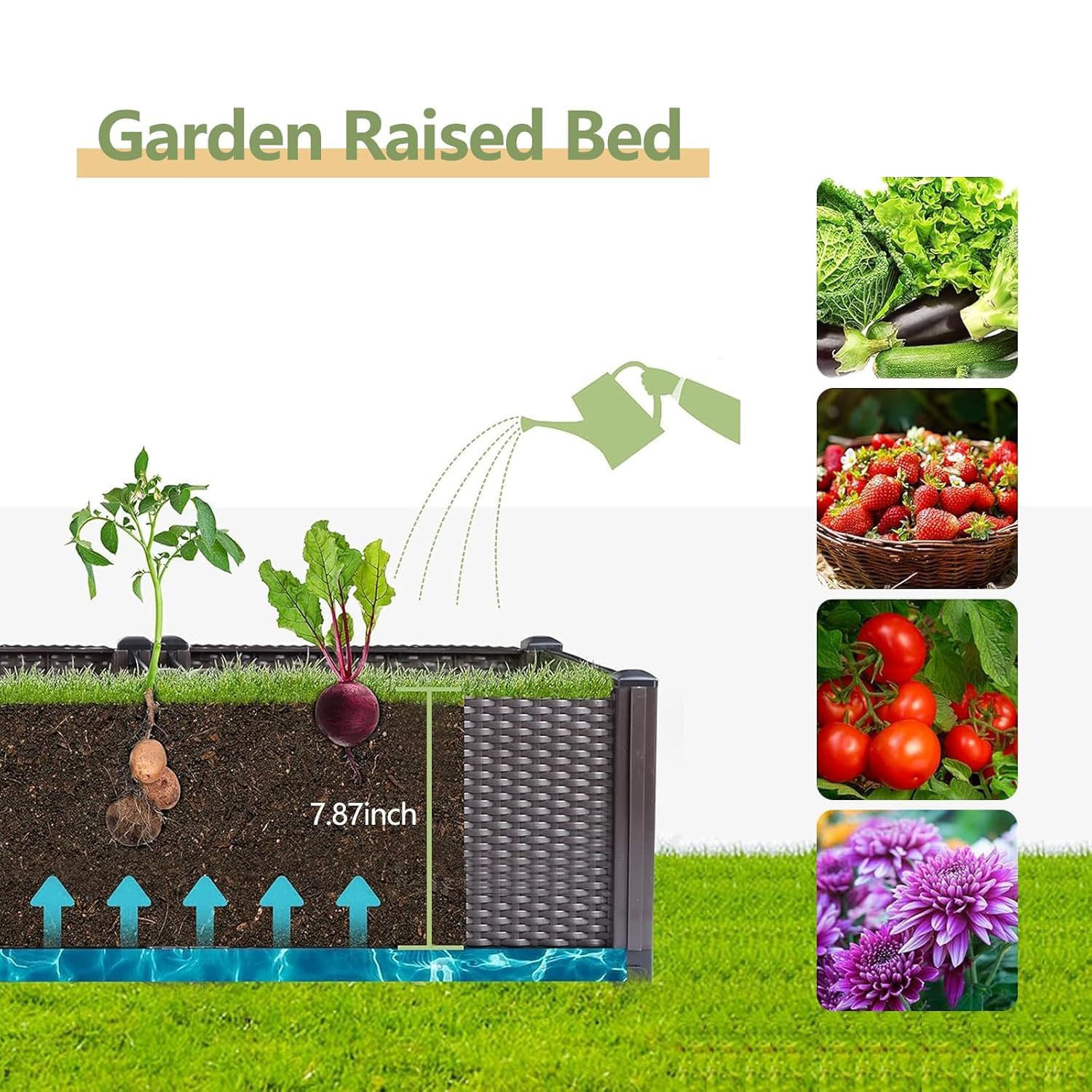 حوض زراعة مرتفع ذاتي الري - صن - مراجعة Gardening Tools Green وسعره