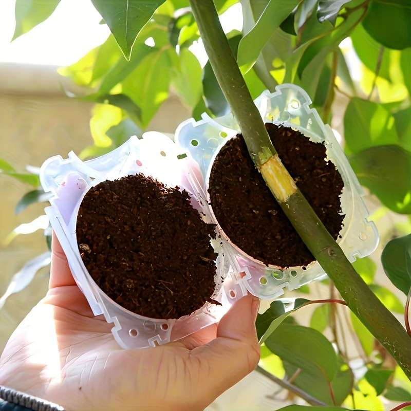 10 قطع من أدوات تكاثر النباتات - مراجعة Gardening Tools Kit وسعره