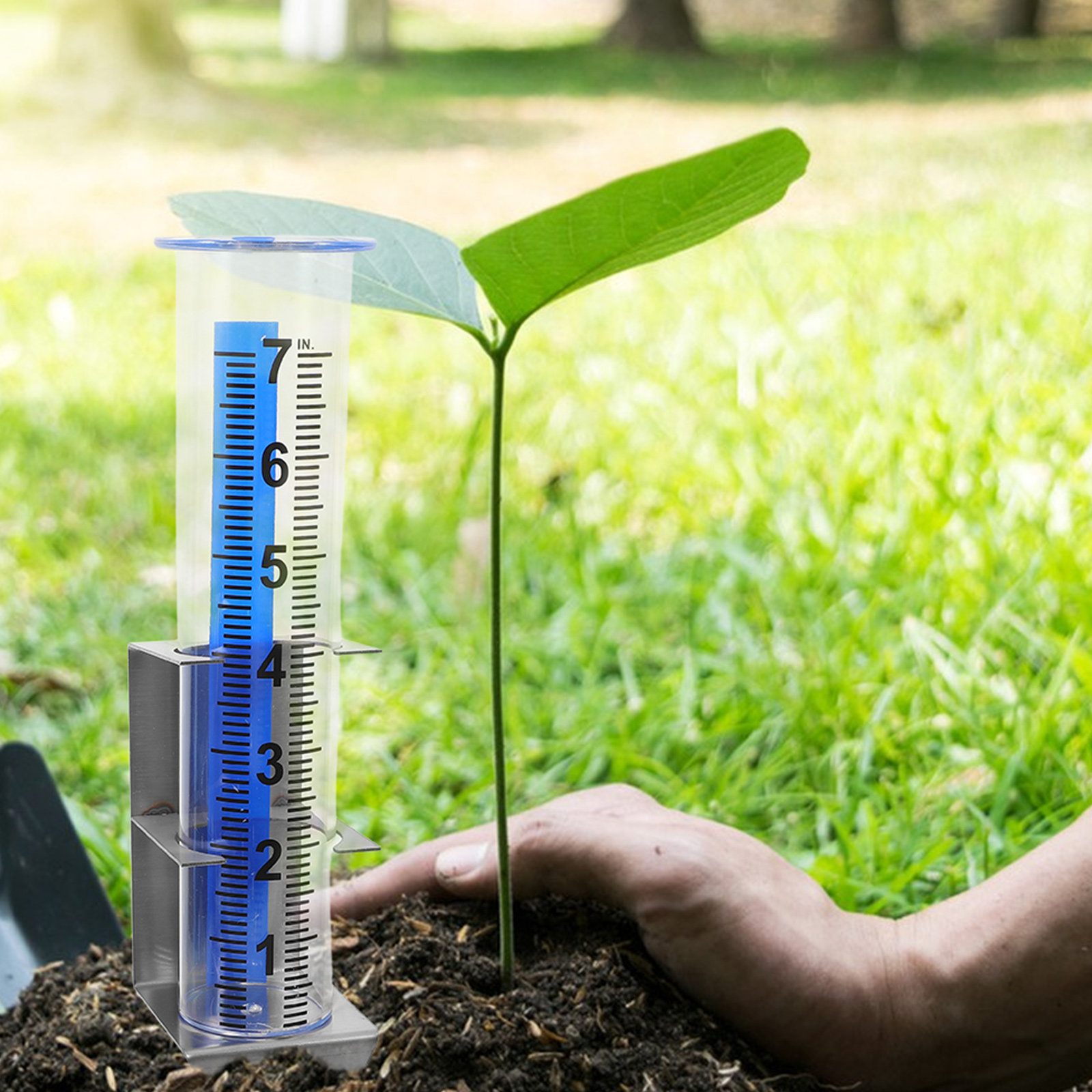 حامل مقياس الأمطار من الفولاذ  - مراجعة Gardening Yard Tools وسعره
